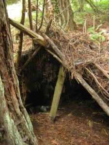 Lean-to emergency shelter day hikers