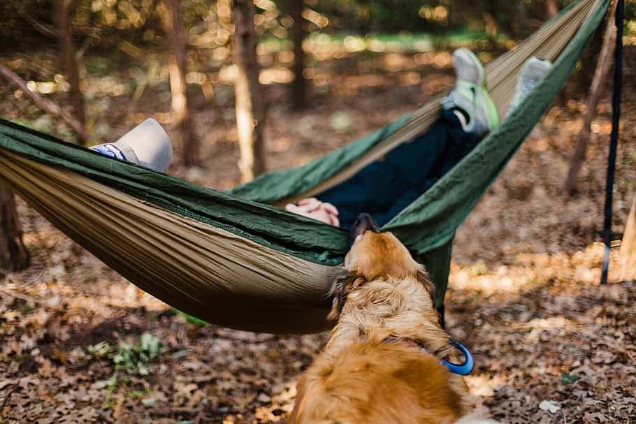 Relaxing in a hammock