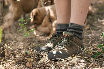 Liner Socks for Hiking