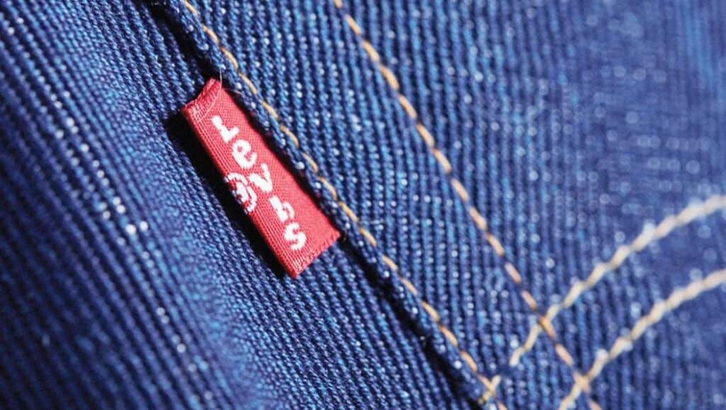 Heavy jean fabric