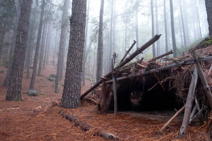 build a survial shelter