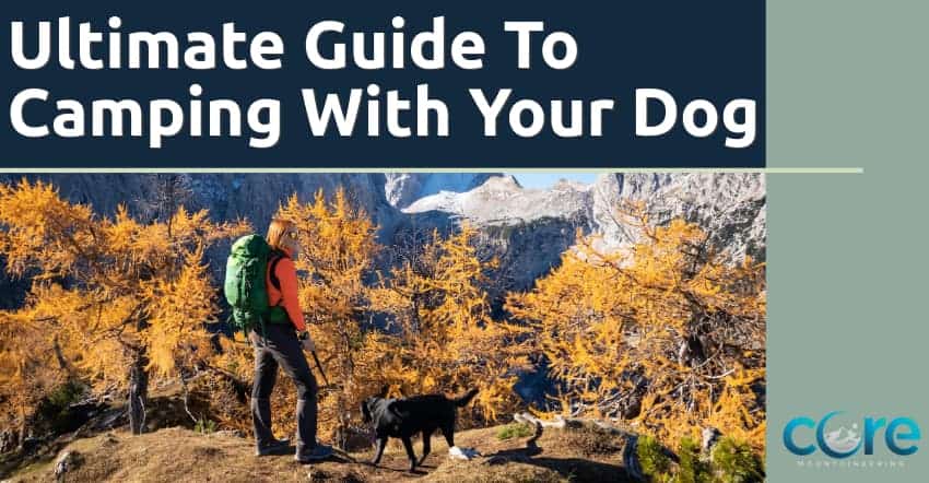 Guide to camping with a dog