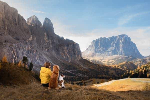 Hiking with dogs