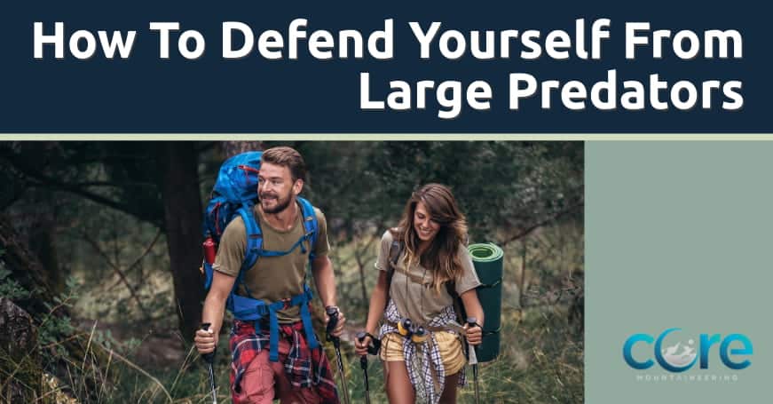 How To Defend Yourself From Large Predators While Mountaineering