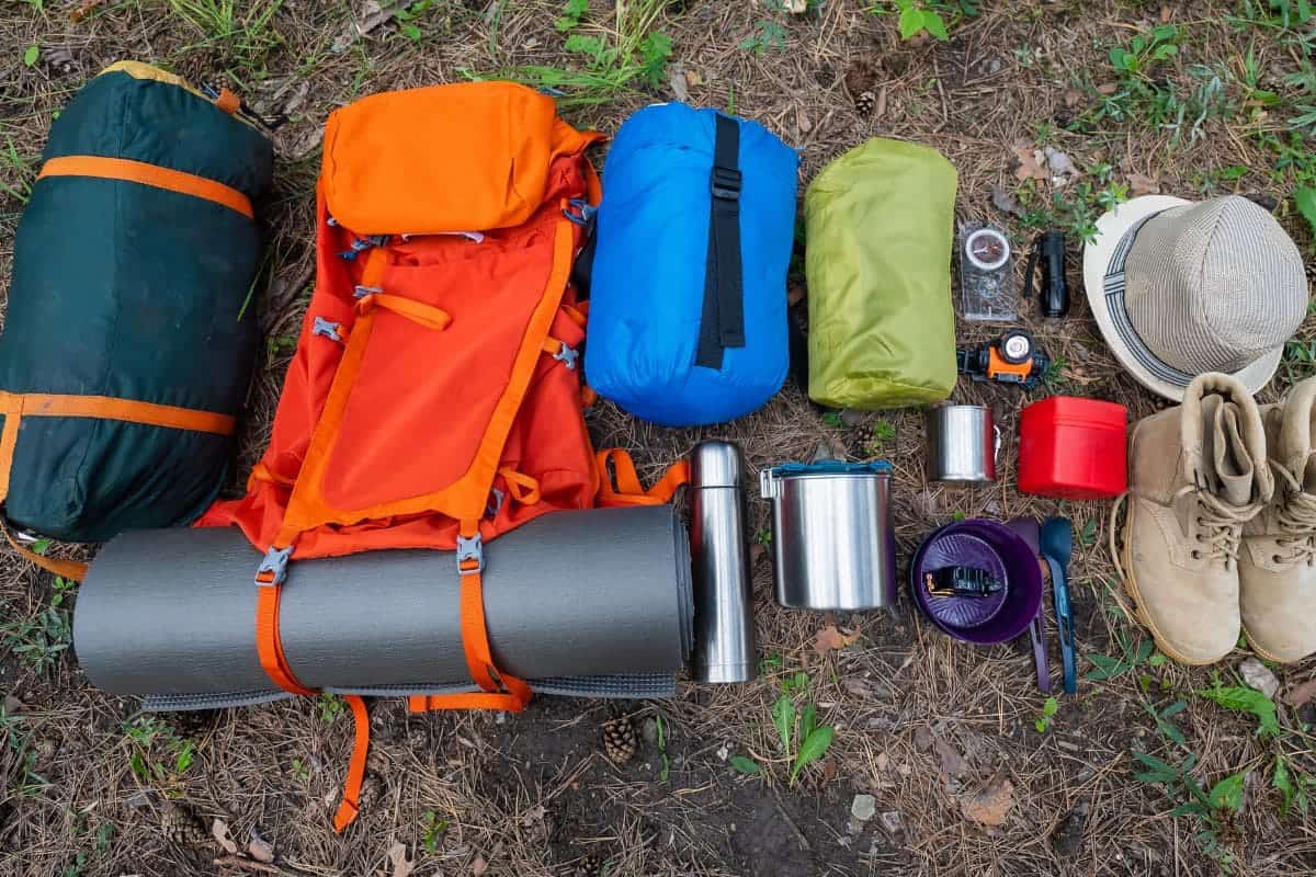 Hiking equipment. View from above. Pine forest.