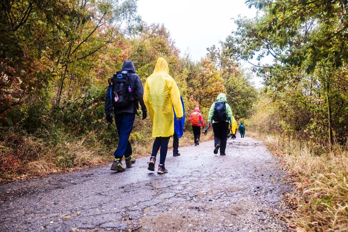 Group of active people hiking on a rural road on the autumn day wearing a raincoat. Real unrecognizable hikers, rear view
