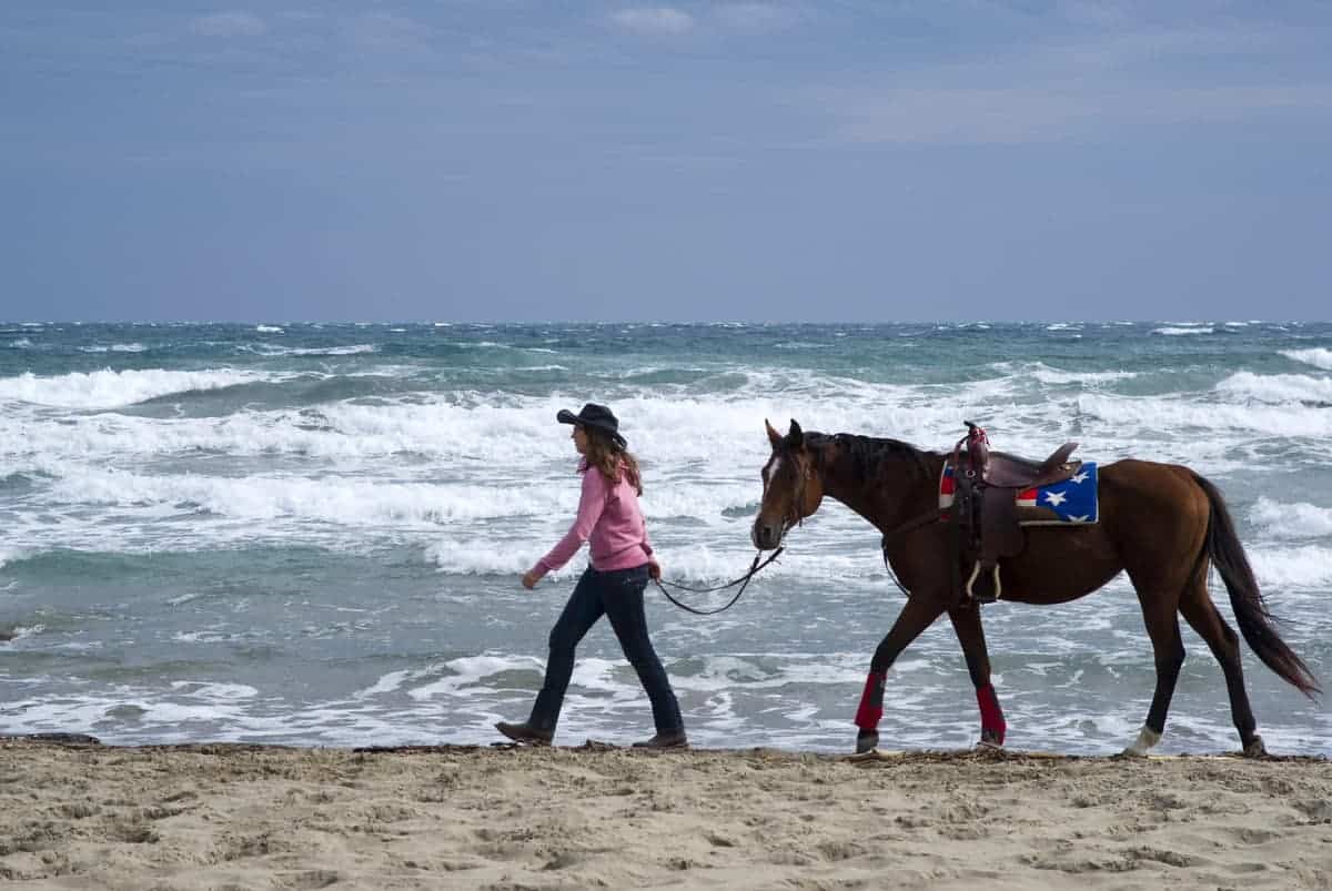 A young women and horse on the beach