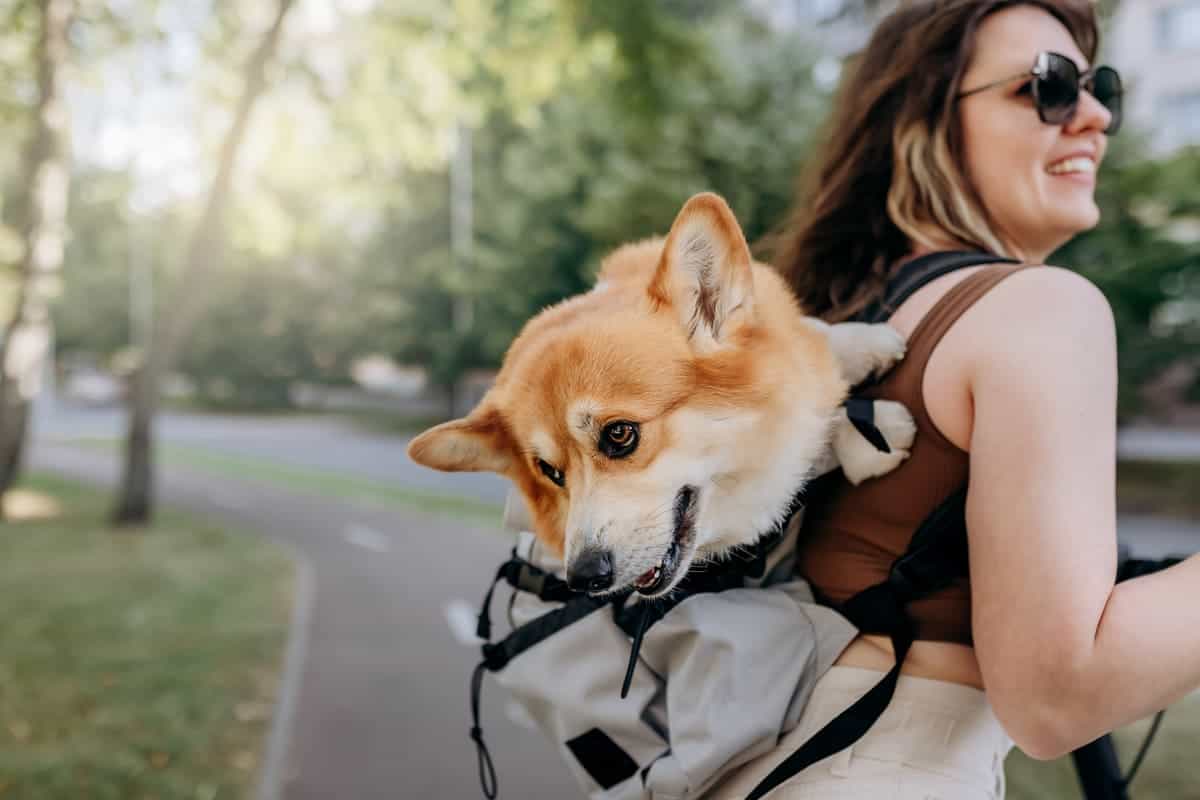 Women with her dog in backpack.