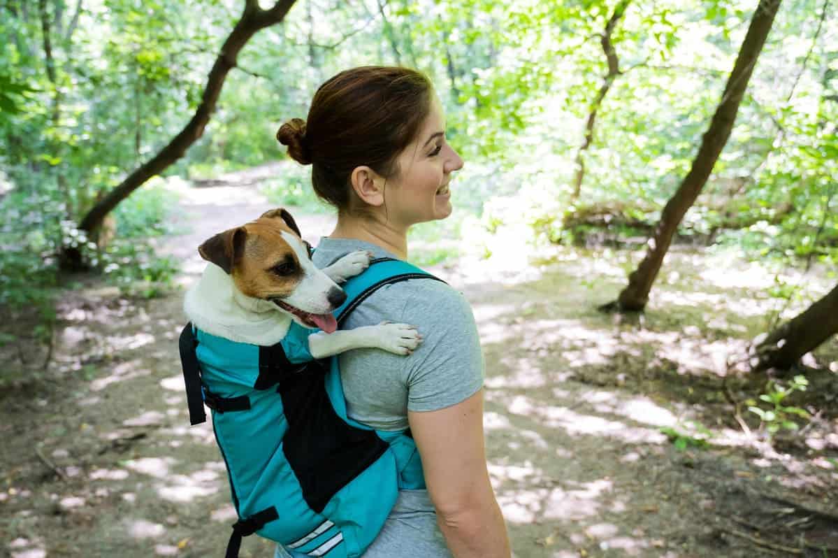 women hiking carrying a dog.